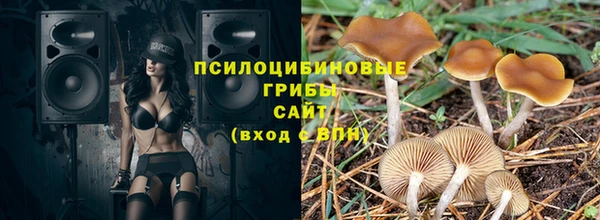 PSILOCYBIN Володарск