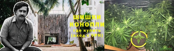 PSILOCYBIN Володарск