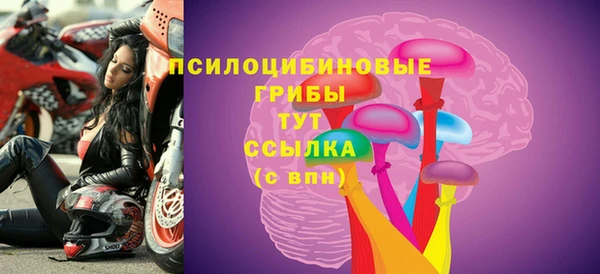 PSILOCYBIN Володарск